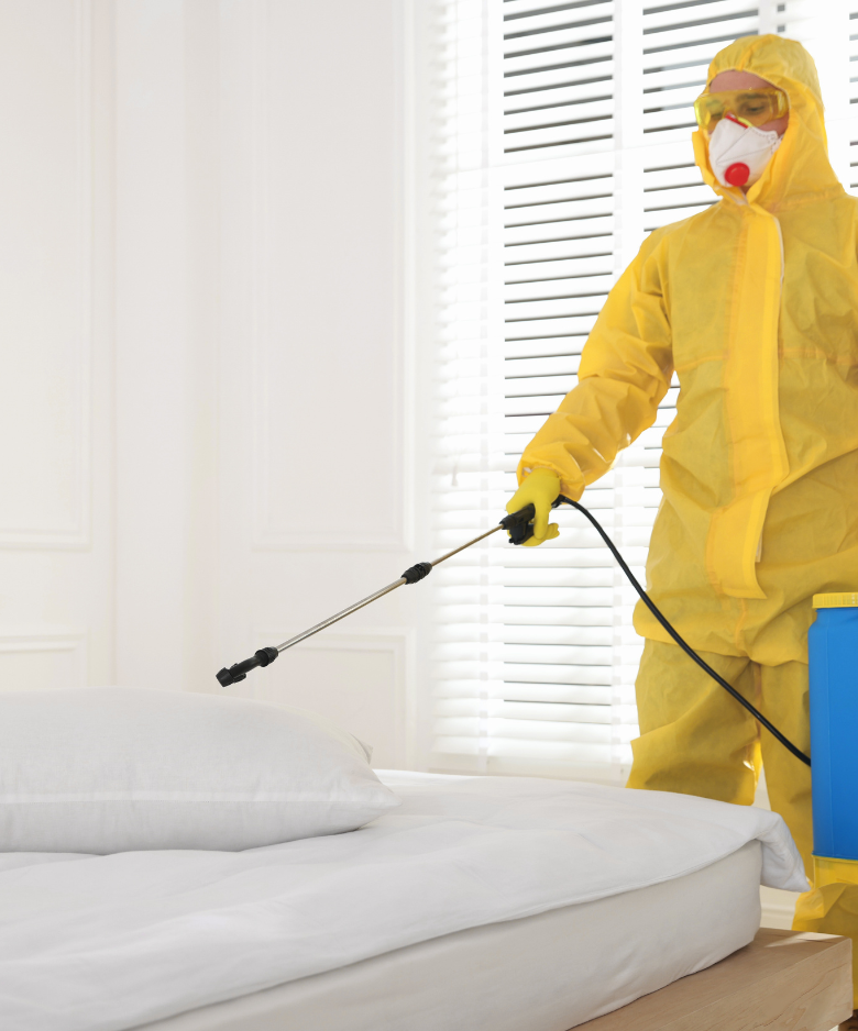 Professional Pest Control Team in West Lakes Shore